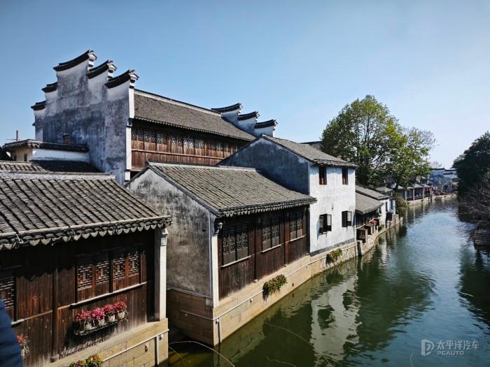 这是什么?像极了爱情- 专业问答平台,解答您的疑问